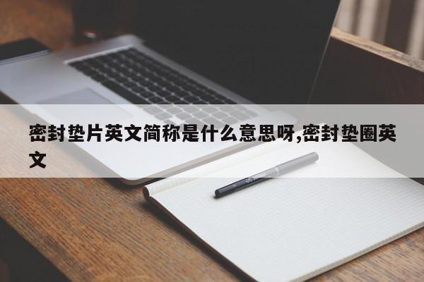 密封垫片英文简称是什么意思呀,密封垫圈英文