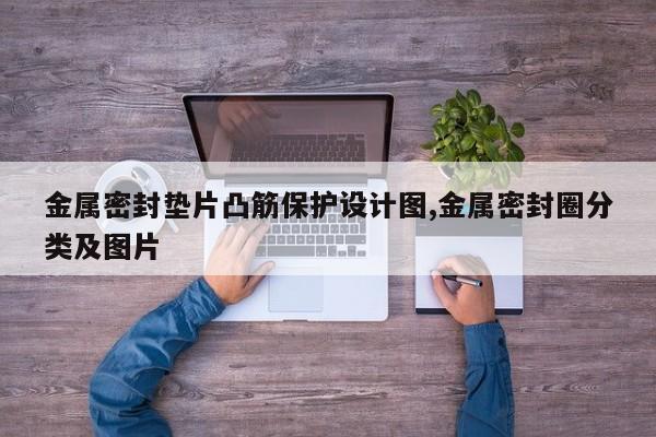 金属密封垫片凸筋保护设计图,金属密封圈分类及图片