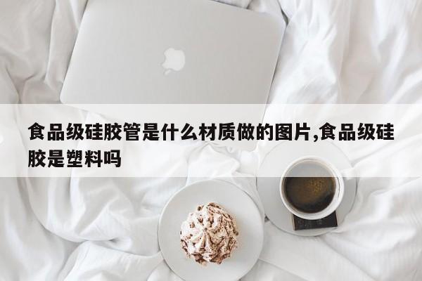 食品级硅胶管是什么材质做的图片,食品级硅胶是塑料吗