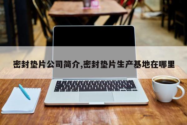 密封垫片公司简介,密封垫片生产基地在哪里