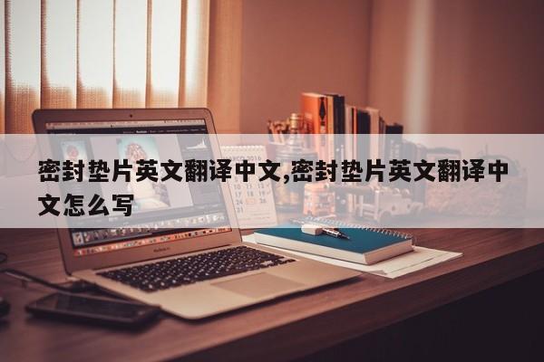 密封垫片英文翻译中文,密封垫片英文翻译中文怎么写