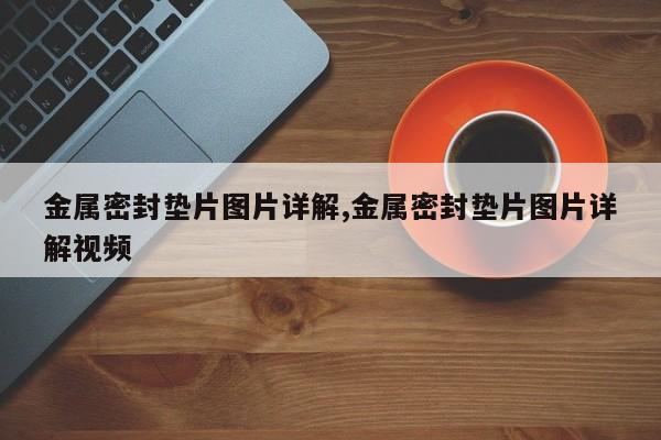 金属密封垫片图片详解,金属密封垫片图片详解视频