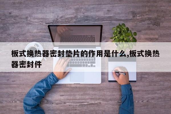 板式换热器密封垫片的作用是什么,板式换热器密封件