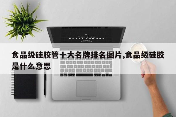 食品级硅胶管十大名牌排名图片,食品级硅胶是什么意思