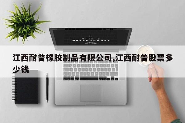 江西耐普橡胶制品有限公司,江西耐普股票多少钱