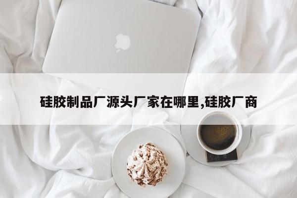 硅胶制品厂源头厂家在哪里,硅胶厂商