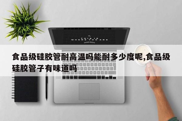 食品级硅胶管耐高温吗能耐多少度呢,食品级硅胶管子有味道吗