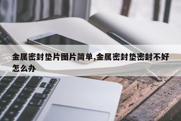 金属密封垫片图片简单,金属密封垫密封不好怎么办