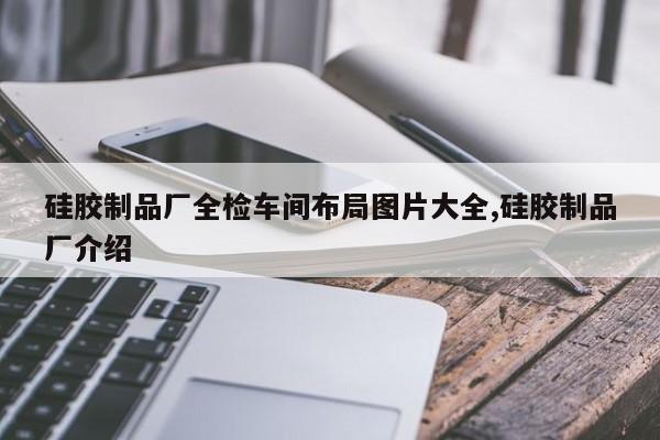硅胶制品厂全检车间布局图片大全,硅胶制品厂介绍
